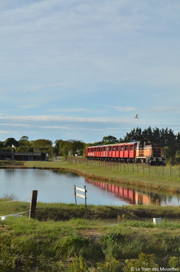le train des mouettes en circulation près d'un étang