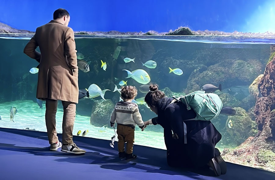 Besucherzahlen des Aquariums in La Rochelle